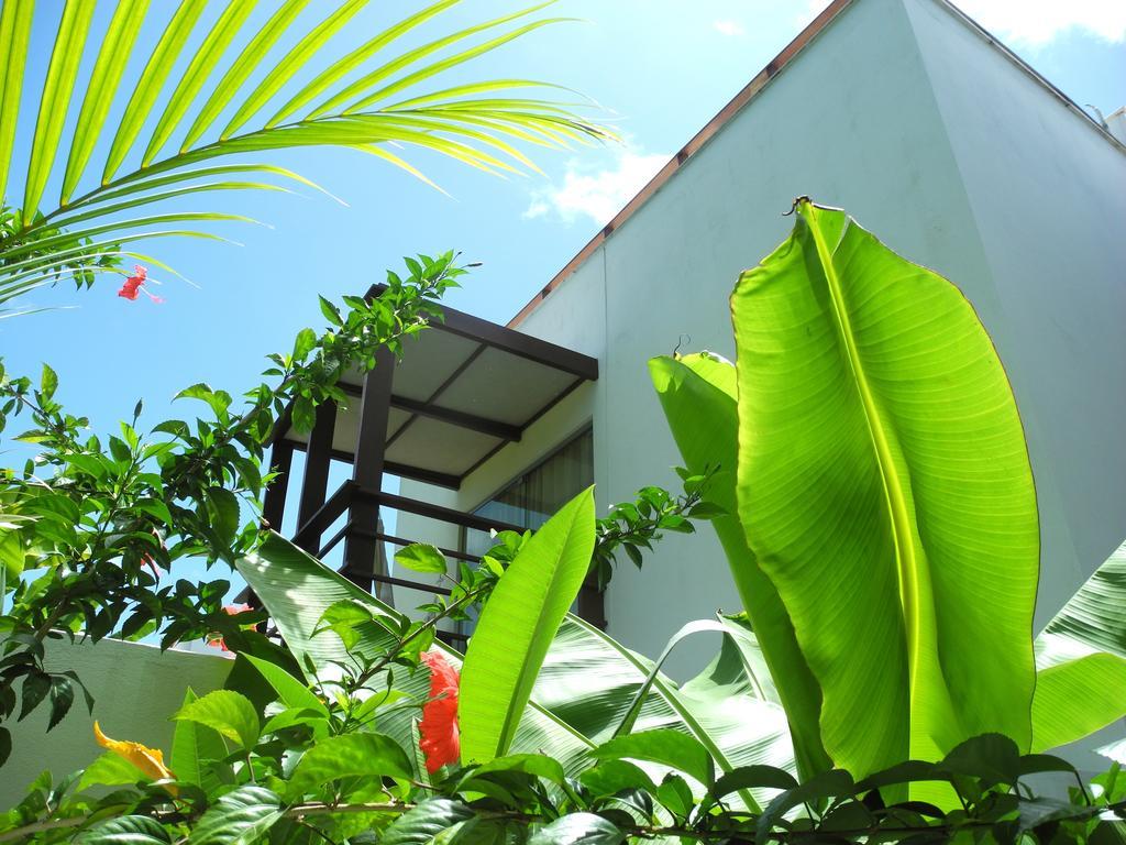 Villa La Reserve Design Ida Praia de Pipa