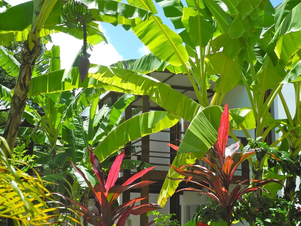 Villa La Reserve Design Ida *